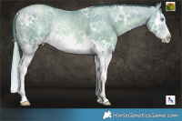 Horse Color:Watercolor White Spotted Buckskin Ice Pearl Splash Rabicano 