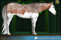 Horse Color:White Spotted Bay Ice Splash