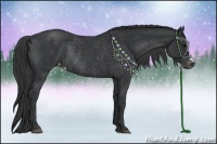 Horse Color:Black Varnish Rabicano 
