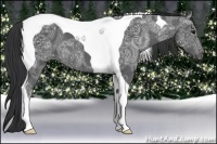 Horse Color:Black Ice Tobiano 
