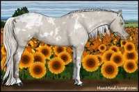 Horse Color:White Spotted Silver Grullo Roan Varnish 