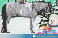 Horse Color:Blue Roan Tobiano Snowflake Varnish 