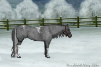 Horse Color:Blue Roan Tobiano Snowflake Varnish 