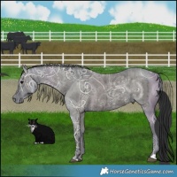 Horse Color:Grullo Ice Mushroom Brindle 