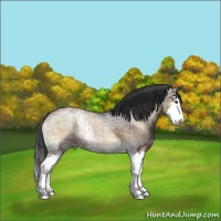 Horse Color:White Spotted Silver Blue Onyx Ice Splash and Bay Ice Onyx Sabino Splash