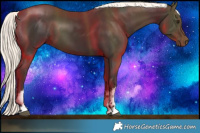 Horse Color:White Spotted Liver Chestnut Mushroom