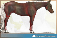 Horse Color:White Spotted Liver Chestnut Mushroom 