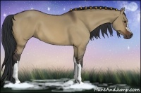 Horse Color:Brown Dun