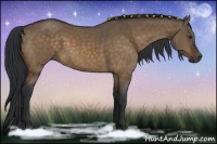 Horse Color:Brown Dun 