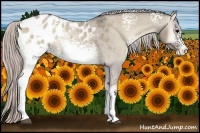 Horse Color:White Spotted Silver Grullo Roan Onyx Appaloosa