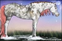 Horse Color:Painted Silver Buckskin Chinchilla Ice Onyx Sabino 