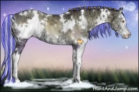 Horse Color:Painted White Spotted Silver Buckskin Chinchilla Ice Onyx Sabino Splash 