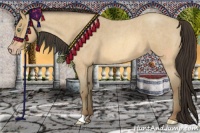 Horse Color:Amber Cream Champagne Roan 