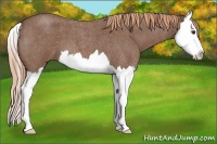 Horse Color:Red Roan Splash 