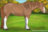 Horse Color:Chestnut Splash Tobiano