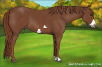 Horse Color:Chestnut Frame