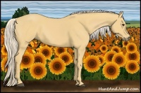 Horse Color:Palomino 