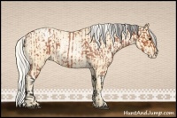 Horse Color:Bay Roan  and Silver Buckskin Roan Pearl 