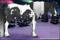 Horse Color:White Spotted Black Splash Tobiano