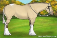 Horse Color:Silver Buckskin Dun Tobiano 