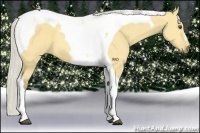 Horse Color:Silver Buckskin Dun Tobiano 