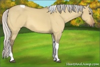 Horse Color:Silver Buckskin Dun Tobiano 