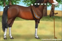 Horse Color:Bay Splash Rabicano 