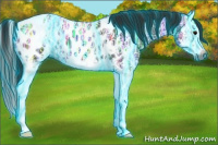 Horse Color:Gray Thunderstruck Black Ice Splash Appaloosa 