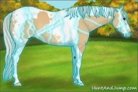 Horse Color:Thunderstruck Silver Bay Dun Sabino Tobiano 