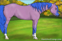 Horse Color:Gray Watercolor Grullo