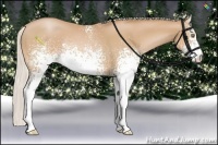Horse Color:White Spotted Silver Bay Pearl 