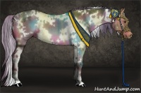Horse Color:White Spotted Liver Red Dun 