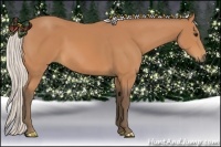 Horse Color:Silver Bay 