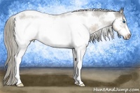 Horse Color:White Spotted Chocolate Palomino Frame