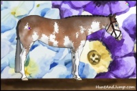 Horse Color:Brown Splash 