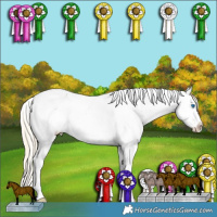 Horse Color:Red Roan Splash Tobiano Rabicano  and Palomino Roan Dun Splash Tobiano Frame Appaloosa 