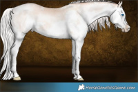 Horse Color:White Spotted Chocolate Silver Sable Champagne Pearl Splash 