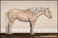 Horse Color:Silver Bay Ice Pearl 