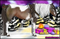 Horse Color:White Spotted Liver Chestnut Tobiano 