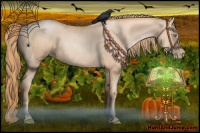 Horse Color:Gold Champagne Pearl 