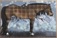 Horse Color:Plaid  Bay 