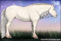 Horse Color:Silver Sable Cream Champagne Pearl 