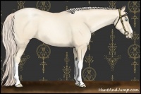 Horse Color:Gold Cream Champagne Pearl 