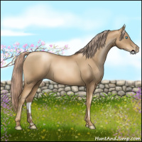 Horse Color:Gray Gold Cream Champagne Pearl 