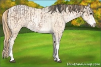Horse Color:Buckskin Ice Sabino  and Buckskin Ice Pearl Sabino 