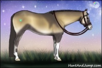 Horse Color:Smoky Blue Onyx