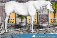 Horse Color:Chocolate Brown Chinchilla Sabino