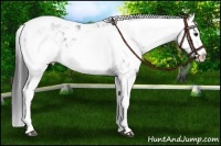 Horse Color:Black Sabino Splash Near Leopard  and Black Sabino Splash Near Leopard 
