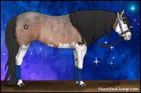 Horse Color:Brown Roan Splash Rabicano 
