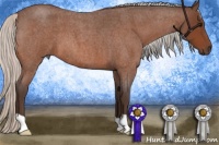 Horse Color:Silver Brown Roan 